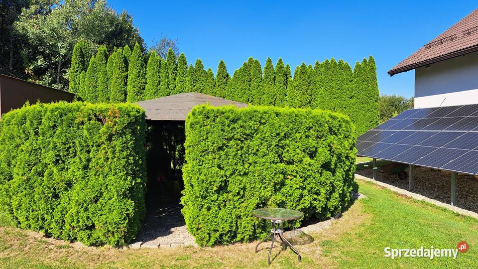 Wiata Altana ogrodowa kompletnaZ meblami tujami śląskie Zabrze