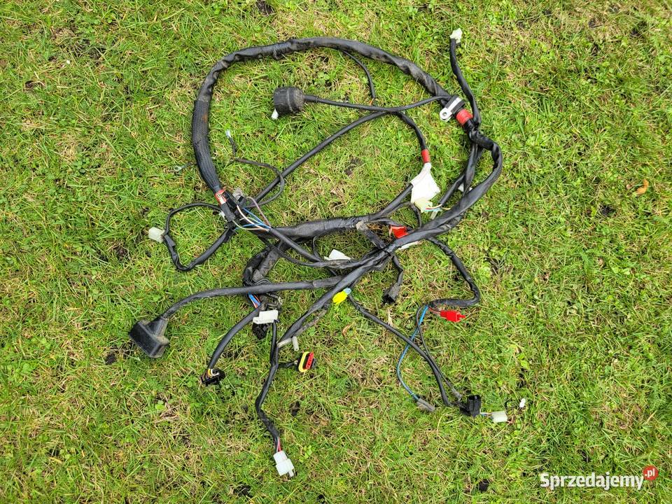 MALAGUTI PHANTOM F12 F 12 50 wiazka elektryczna