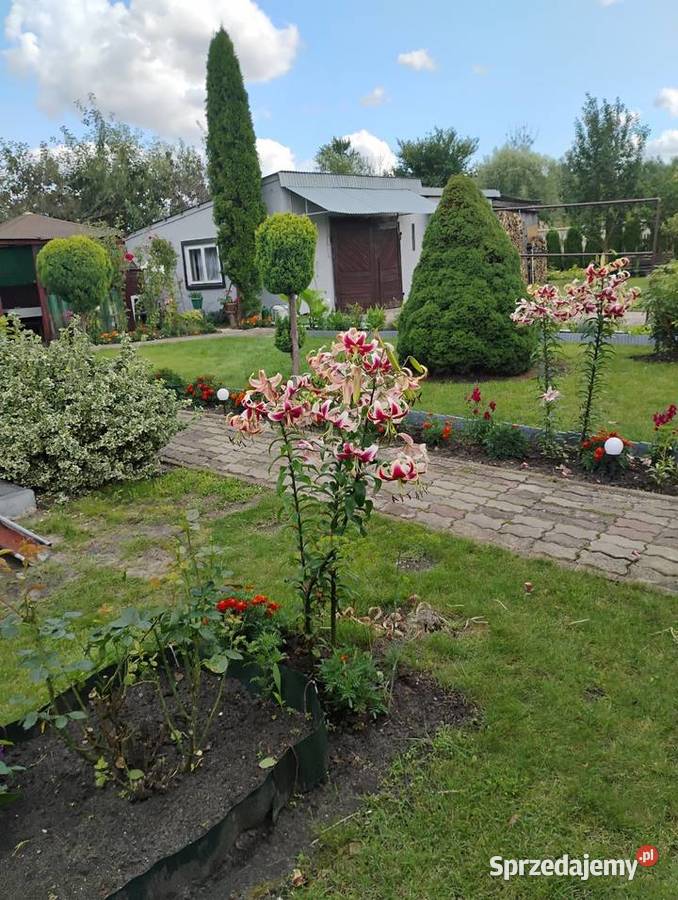 Sprzedam dom Sprzedaż lubelskie Kobyle