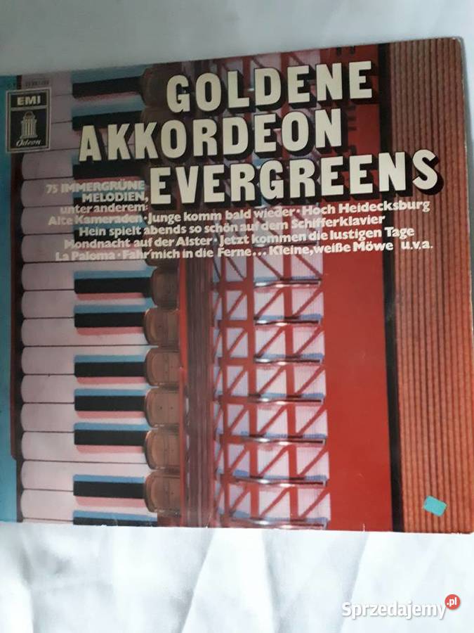 Goldene akkordeon evergreens Pruszków