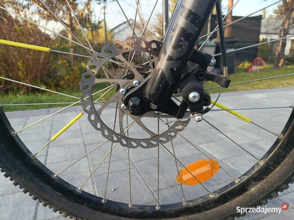 Rower Rockrider ST 900 24 Paprotnia