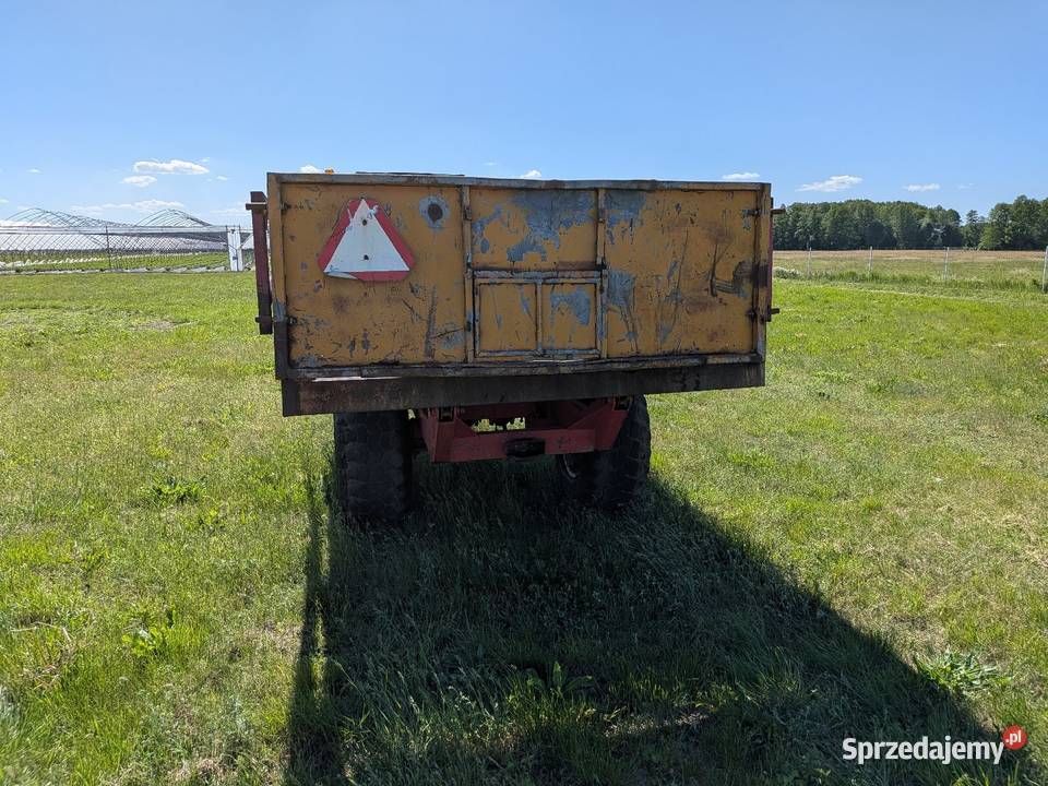Przyczepa Miedema 6 ton nieuszkodzony Goszczanowo