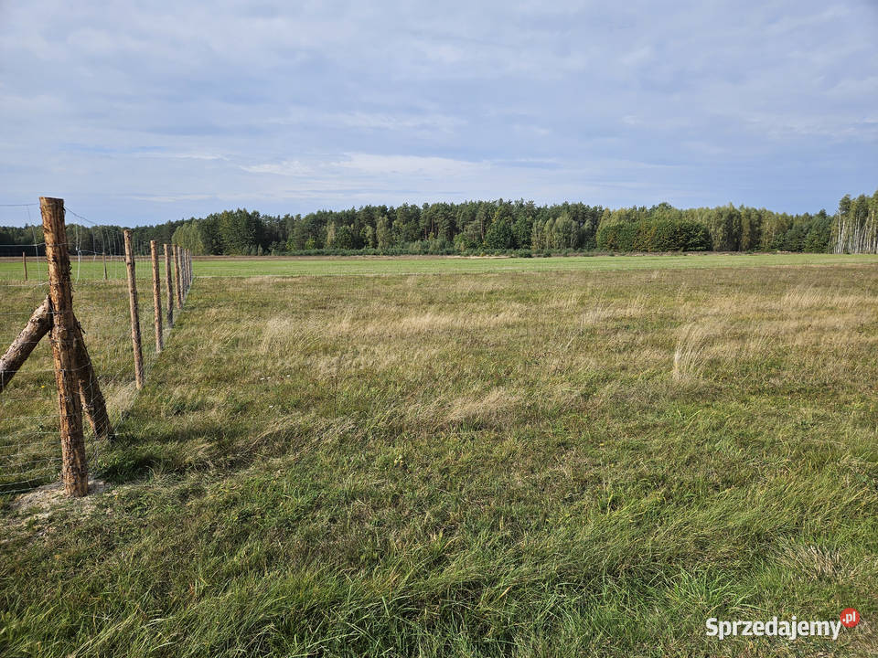 Działka bud Bobrowniki 1200M2 WZ dookoła LAS sprzedam