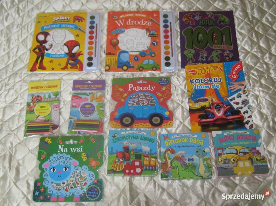 Książeczki chłopca 11sztuk Nowe Baranowo