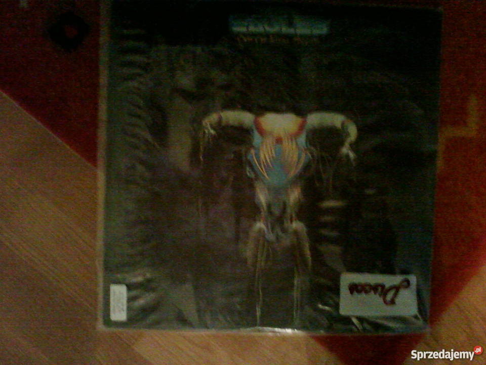 Płyty winylowe Olsztyn