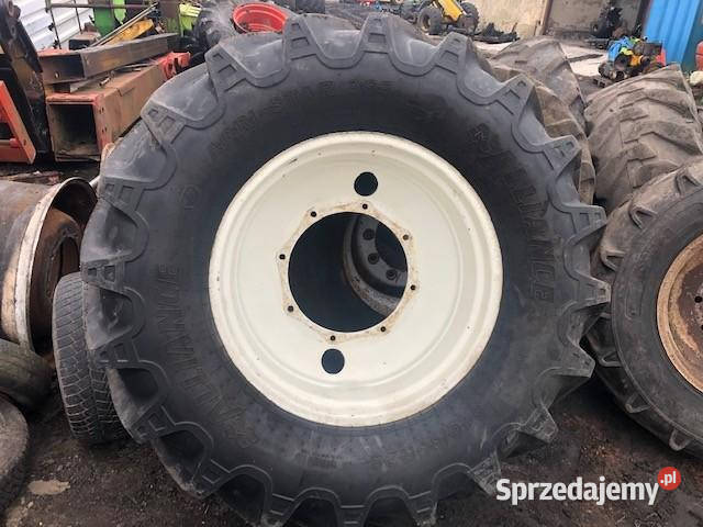 Opona Aliance 54065 R28 Jastrzębniki