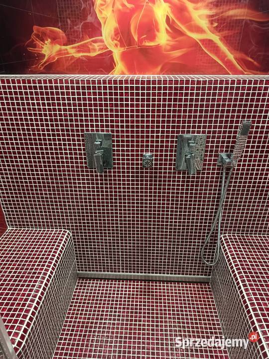Spa we własnym domu Kompleksowe wykonanie łaźni mazowieckie Warszawa