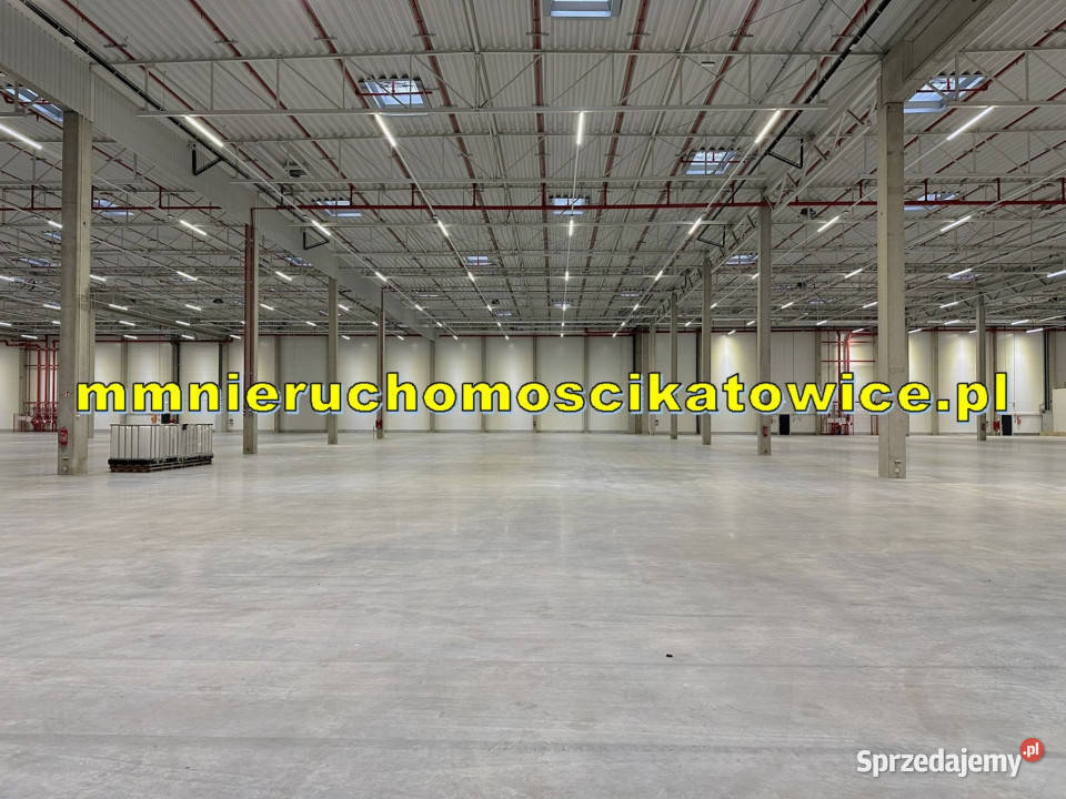 Magazyny do wynajęcia Katowice dojazd do A4 sprzedam
