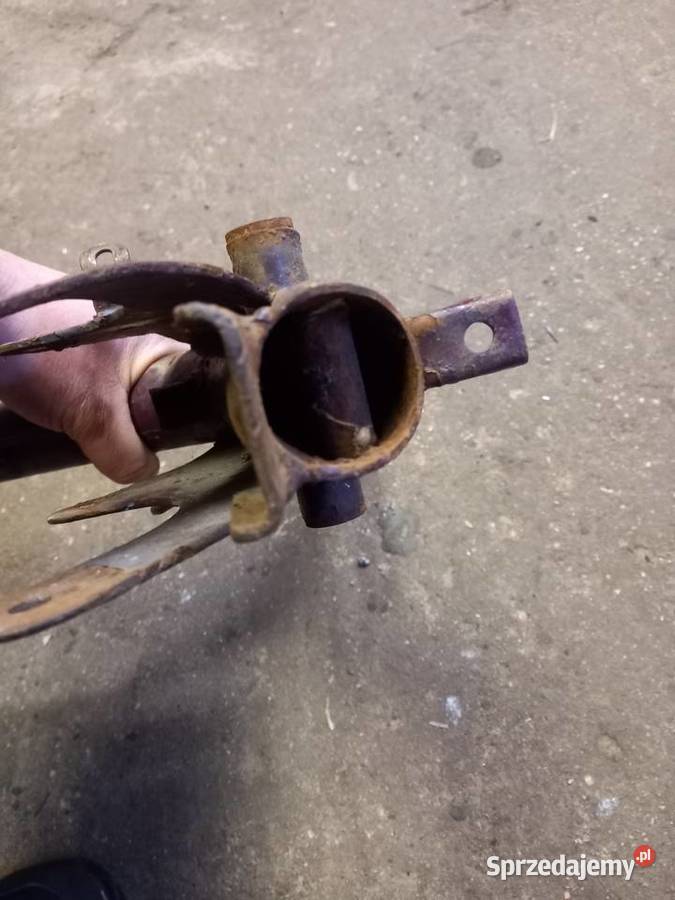 Rama komar sztywniak Sokołów Podlaski