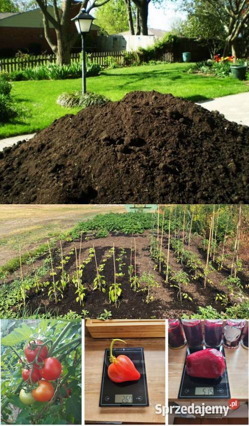 ZIEMIA OGRODOWA Studnia Głębinowa Witnica sprzedam