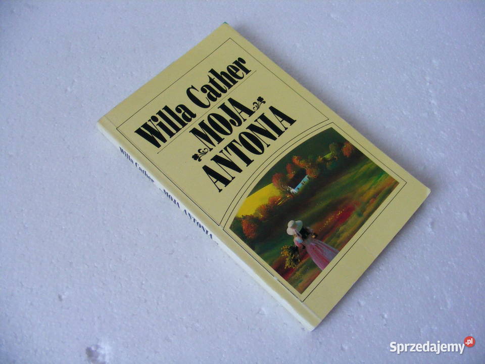 Pisarz Robbins Błyskawiczne dziewczyny Kirst Proza i poezja