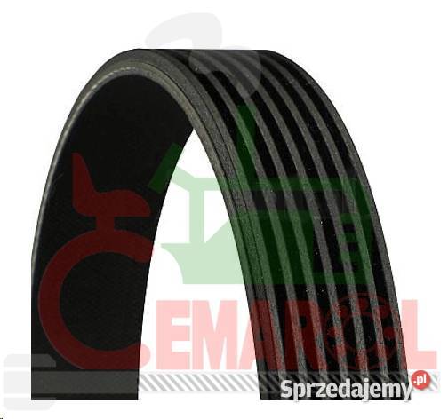 PASEK KLINOWY WIELOROWKOWY 8PK1215 IVECO Słupsk sprzedam