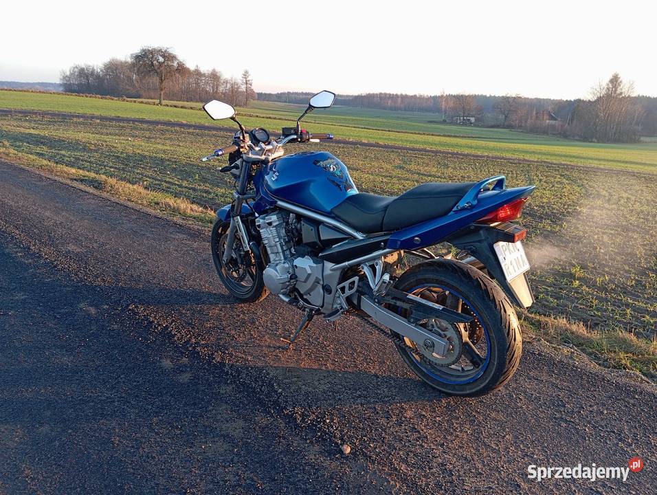 Suzuki Bandit 650 N ABS Wtrysk Paliwa Kat 25 ABS kujawsko-pomorskie Świnki