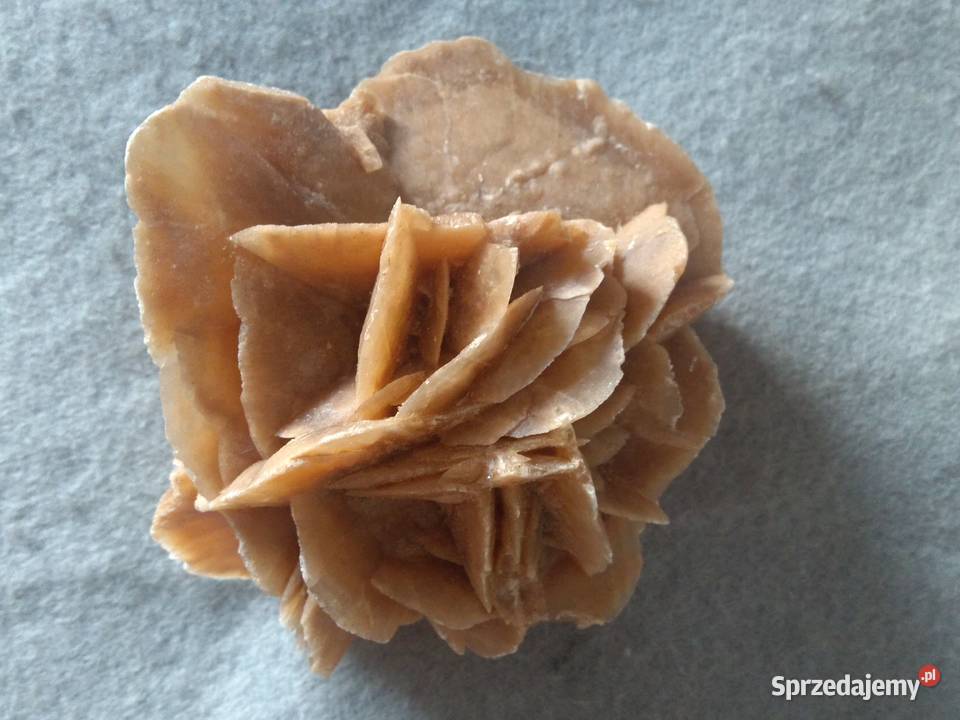 Róża Pustyni kamień ozdobny z Sahary 12 07