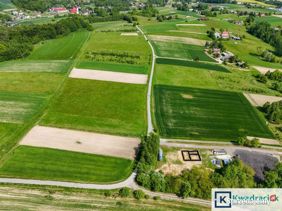 sprzedaży działki 10500m2 Czermna sprzedam