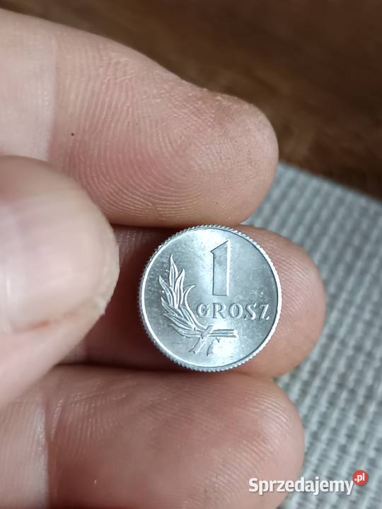Sprzedam 1 grosz 1949 r Chełm sprzedam