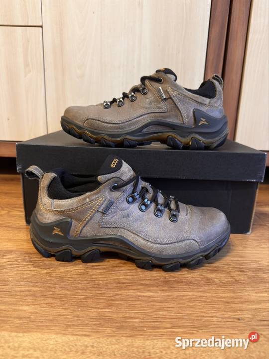 buty trekkingowe Ecco Terra gtx brązowy/beżowy