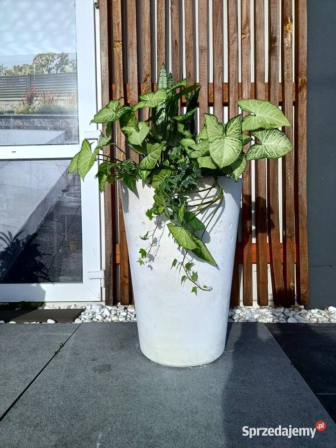 Donica beton architektoniczny Kielce