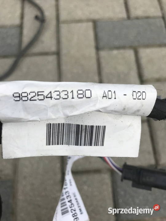 Expert III Vivaro Proance Jumpy III wiązka Barwałd Dolny