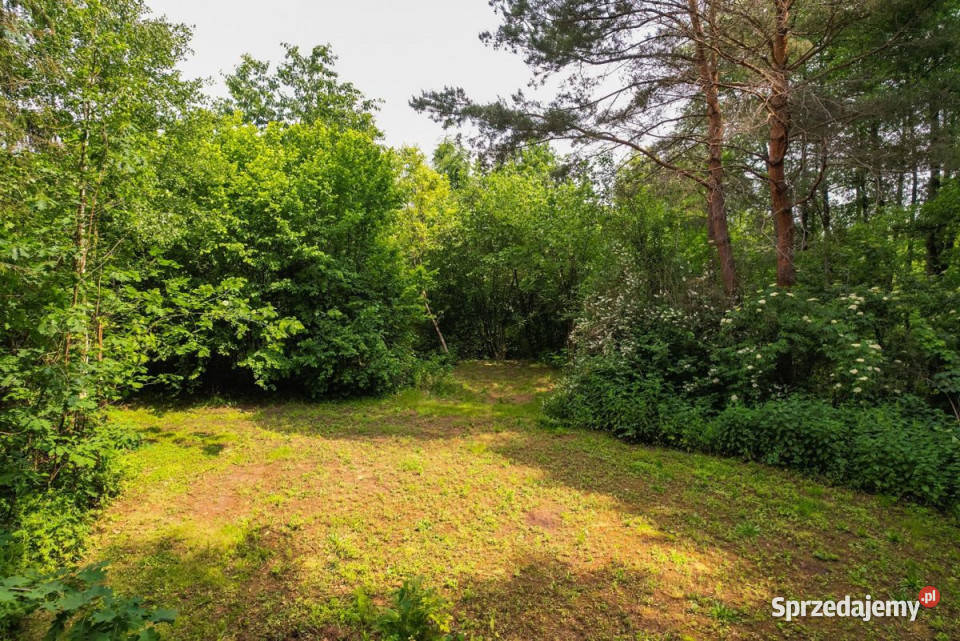 sprzedaży gruntu 2702m2 Wincentów asfalt