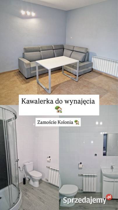 Mieszkanie na wynajem 800 Strzelce Wielkie