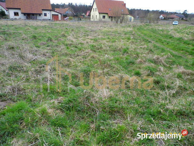 Grunt Brzózki budowlana