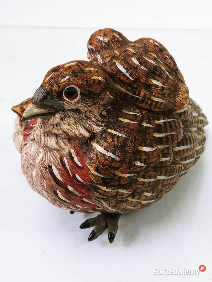 Rzeźba Figura Przepiórka z 3 Pisklętami Brąz lubuskie Nowa Sól