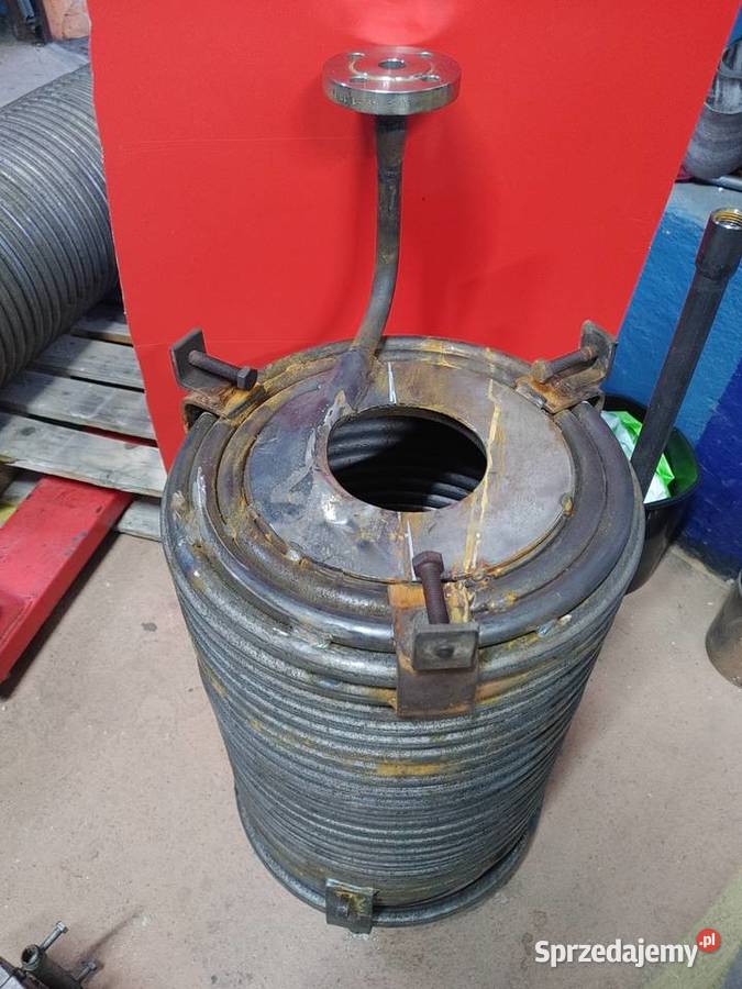 Wytwornica pary wima 100