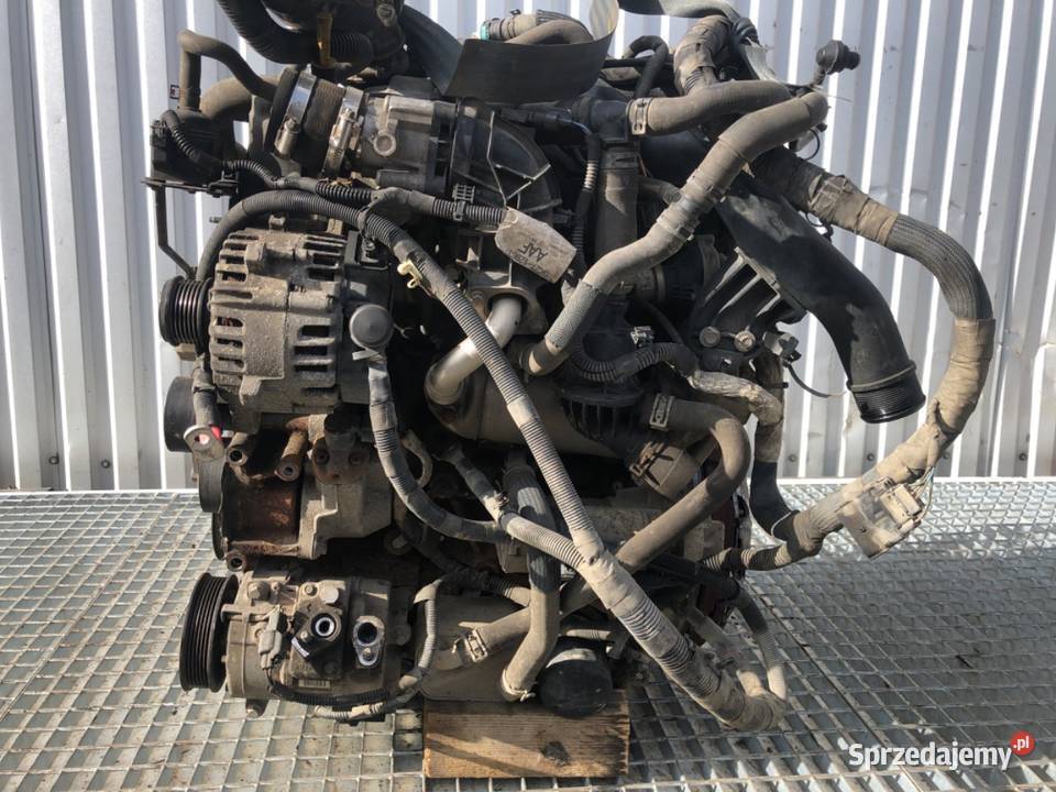 SILNIK KOMPLETNY FORD TRANSIT VI YLF6 Silniki kompletne podkarpackie