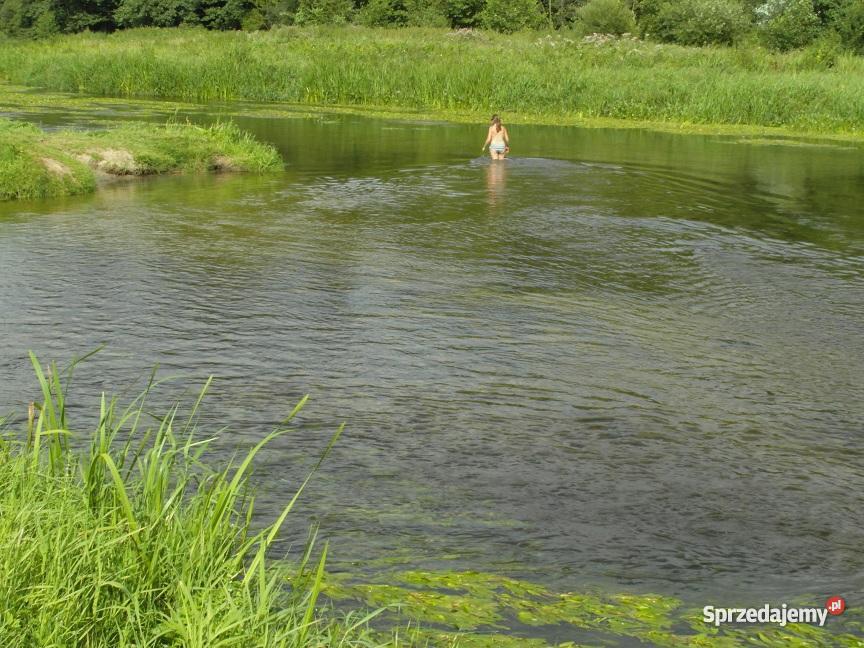 działkę w gm Joniec 2300m war zabudowy woda ogr 22zł/m2 Joniec