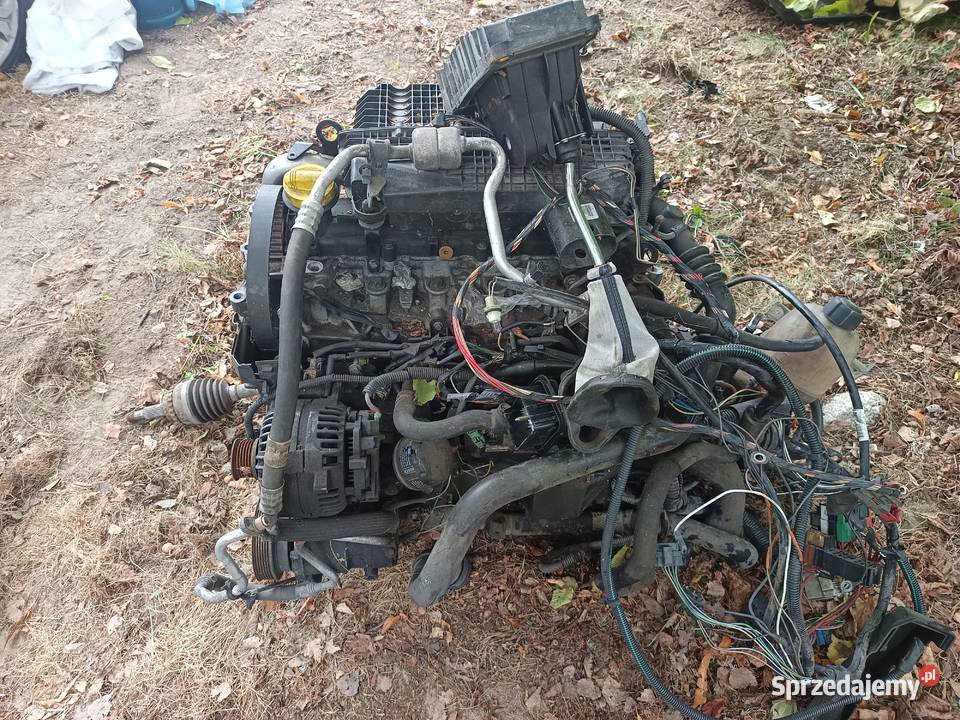 15 dci Clio Megane Scenic Laguna silnik skrzynia