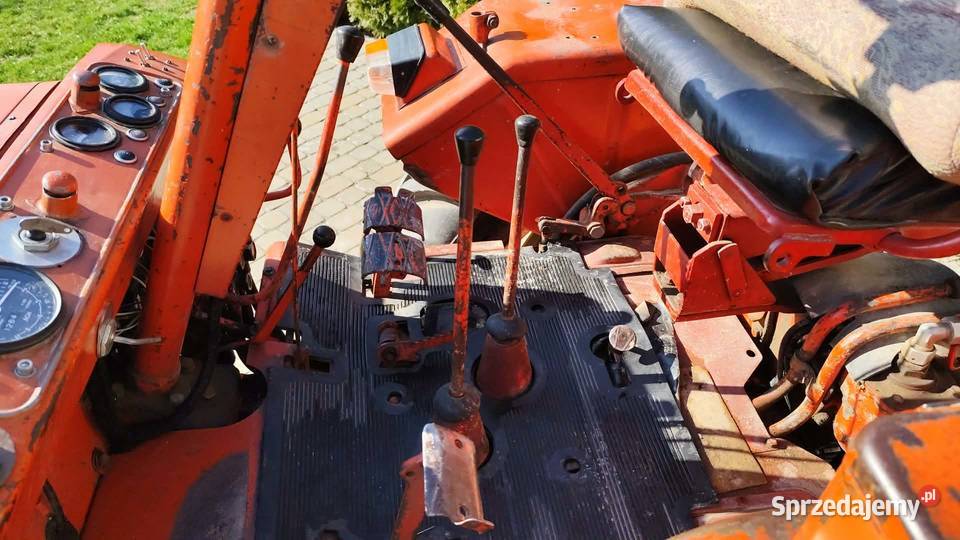 Władimirec pierwszy właściciel Grodzisko Dolne