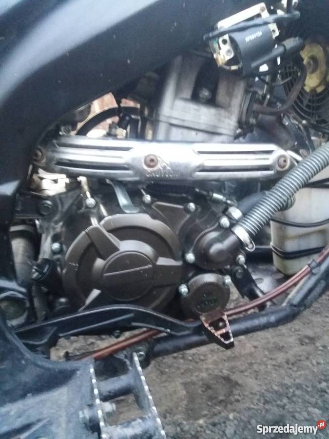 Quad XMOTOS XATV 250CC NIEbashan 200250 egl Rok produkcji 2009 Witkowo