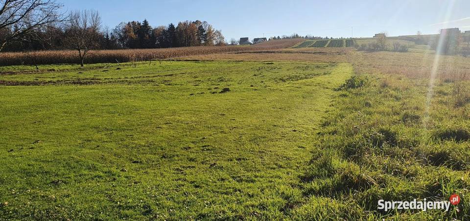 Piękna działka budowlana 10 arów Łąkta Dolna 30.5m małopolskie sprzedam