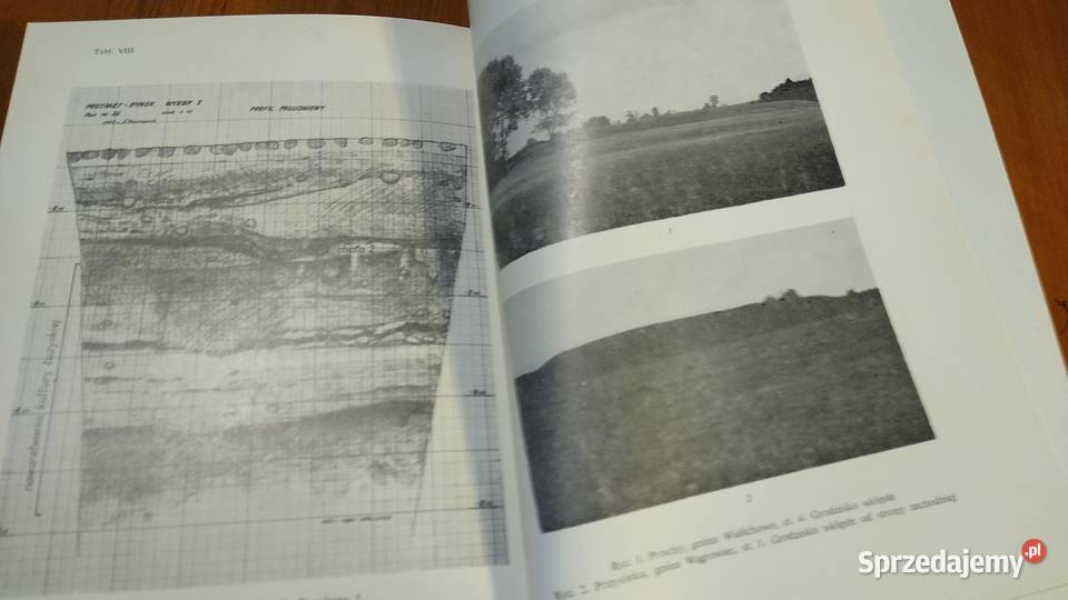 Studia i materiały do osadnictwa Wielkopolski Rok wydania 1980 Gdańsk sprzedam
