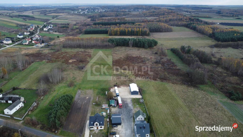 Działka 6500 m2 w Łukowej gm Chęciny Łukowa