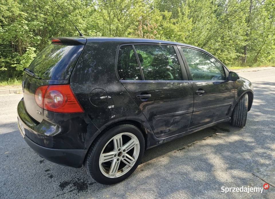 Volkswagen Golf 19TDI 101 2006 Golf Pińczów