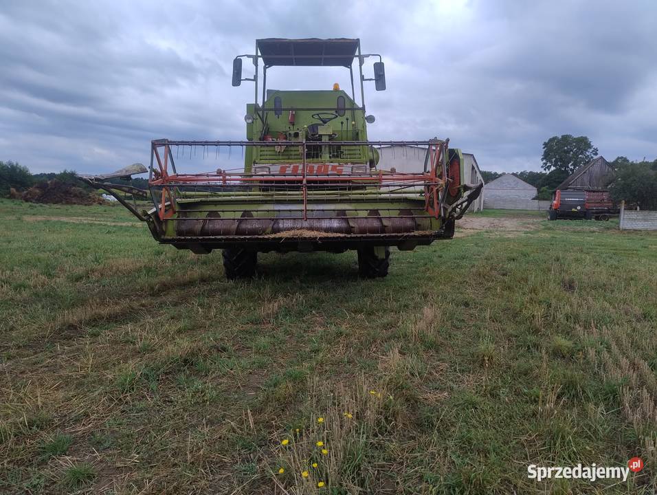 Claas Mercator Konin