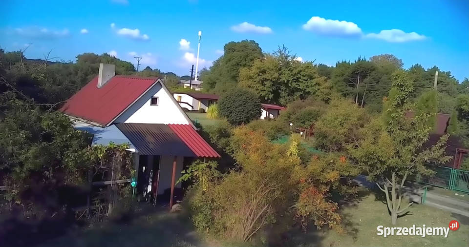 Działka w ROD Złocień ruokliwy solidny domek 240m2 Wrocław