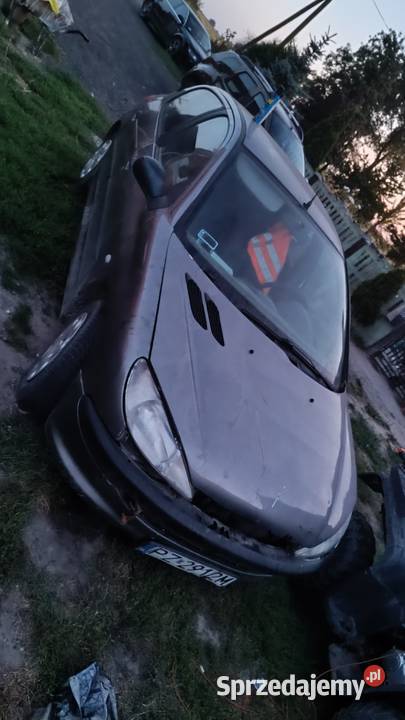 Peugeot 206 19 części Racięcin