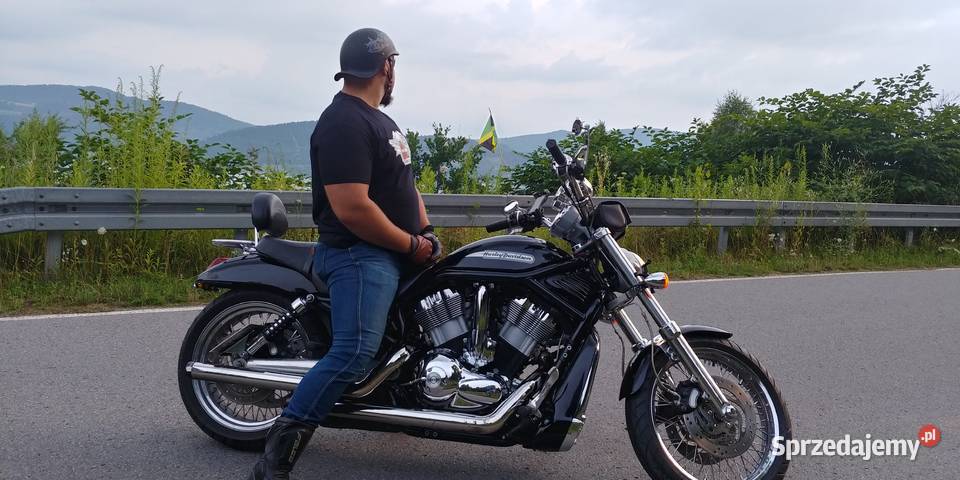 Piękny okaz Harley Davidson V ROD 2004r szprychy cruiser Motoryzacja
