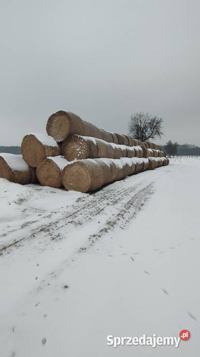 Słoma belki 150120 dobrze zbite łódzkie