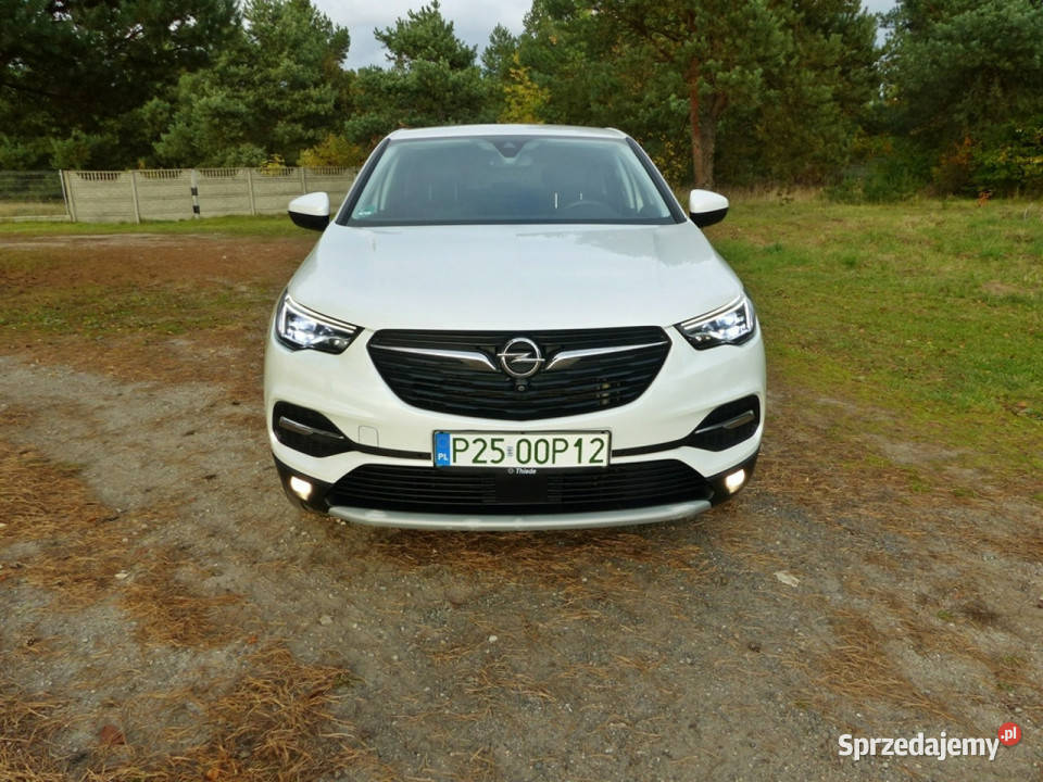 Opel Grandland X 15 komputer pokładowy wielkopolskie Piła