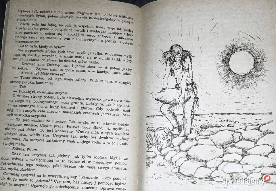 Odwaga N Szepańska Chełm sprzedam