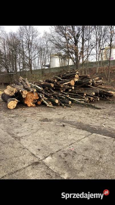 Drewno opałowe hurt hałda drewna dąb akacja