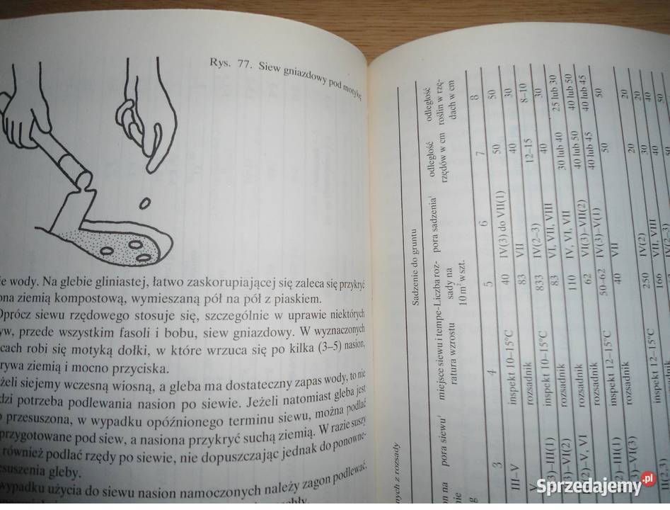DZIAŁKA projektowanie urządzanie warzywa kwiaty Tychy