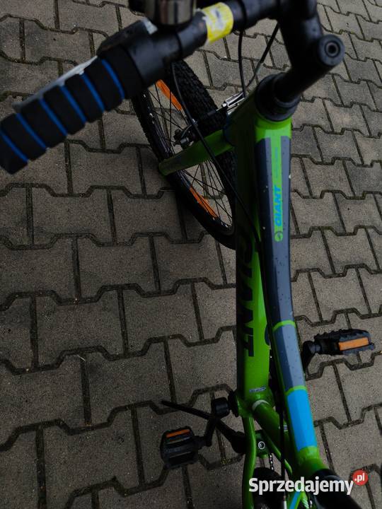 Rowerek Giant 20 stan Pleszew sprzedam