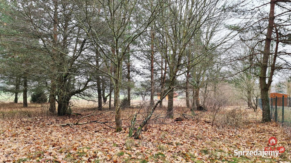 Grunt Pieńki 1911m2