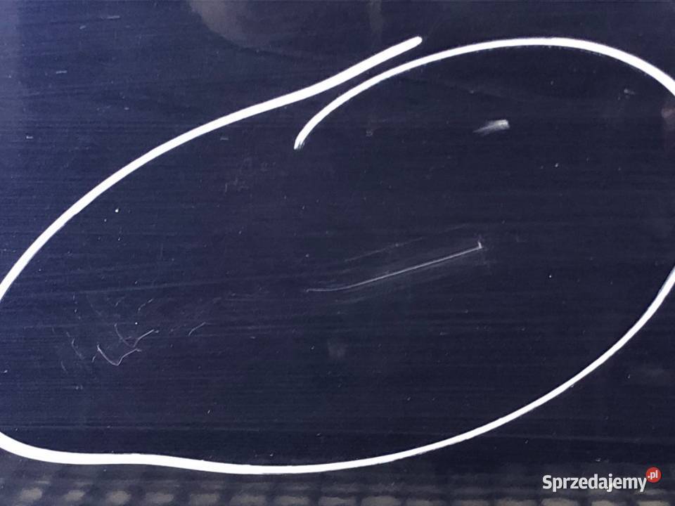 DRZWI LEWY PRZÓD RENAULT MODUS Minivan podkarpackie