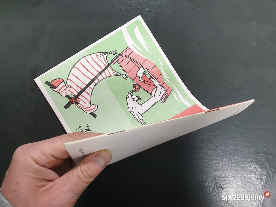 2ga Księga Przygód Koziołka Matołka wydanie VII pomorskie